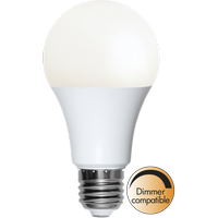 LED лампа E27 A65 Opaque Ra90