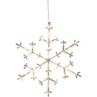 Сніжинка світлова