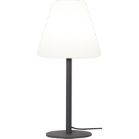 Вулична декорація GardenLight